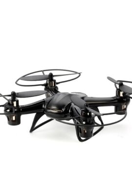 Great DAMING RC Quadcopter Drone